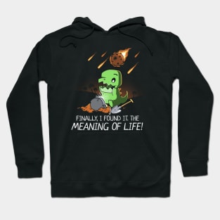 Funny Dinosaur Meaning of Life Archaeologist Hoodie